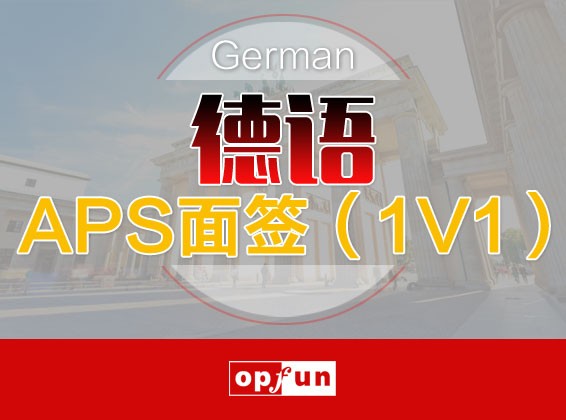 南京德语APS面签（1V1）