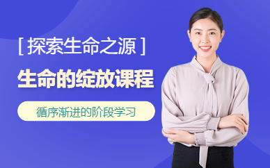 北京生命的绽放培训班